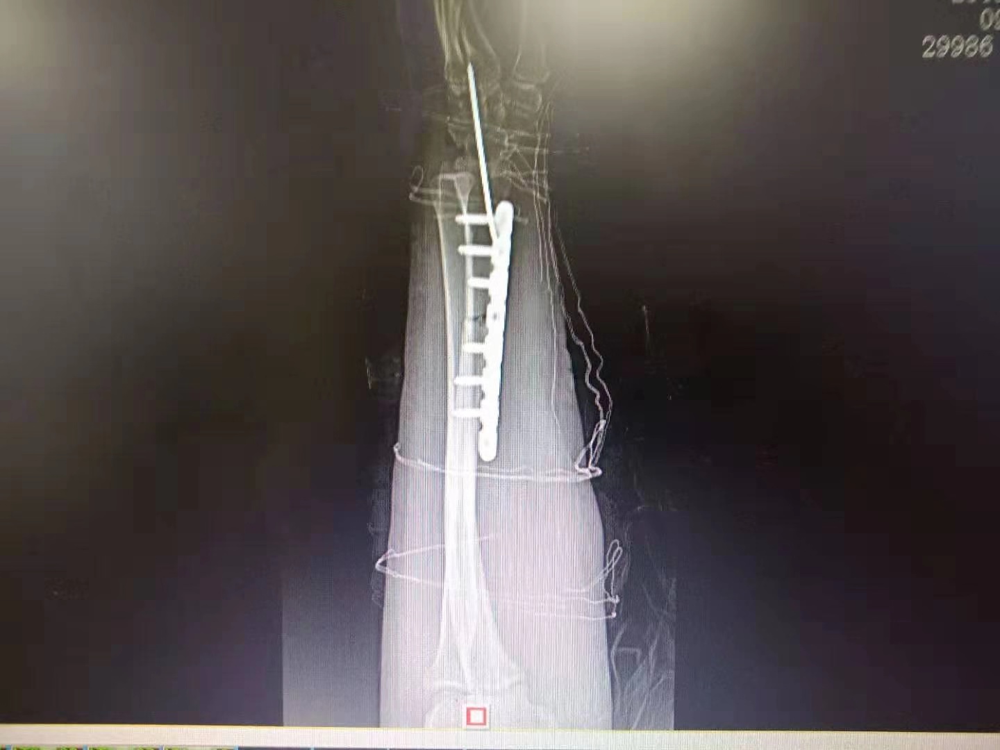 微信图片_20190829172238.jpg