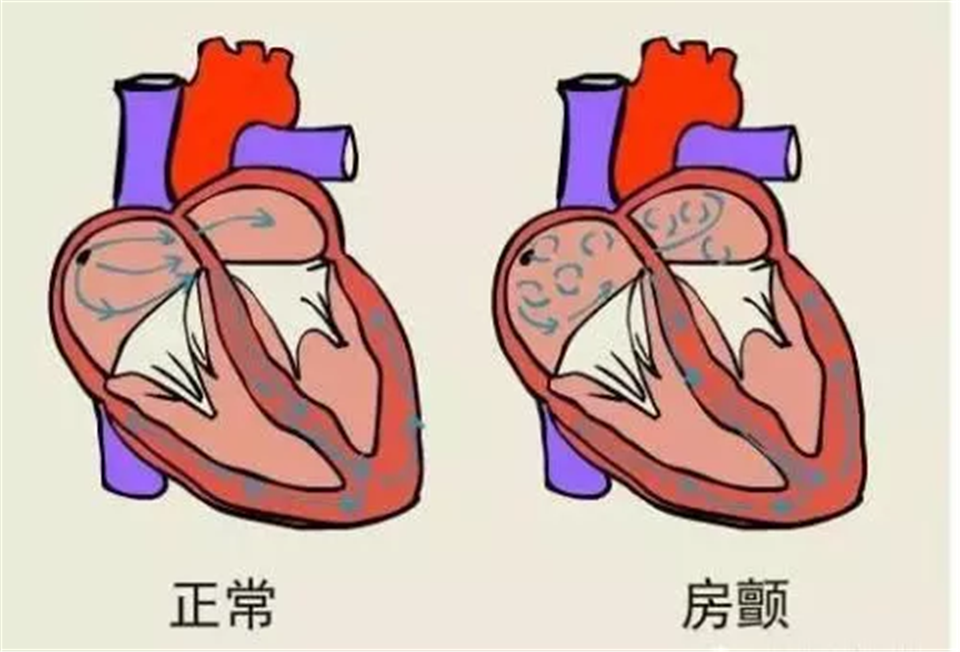 微信图片_20201204102025.png