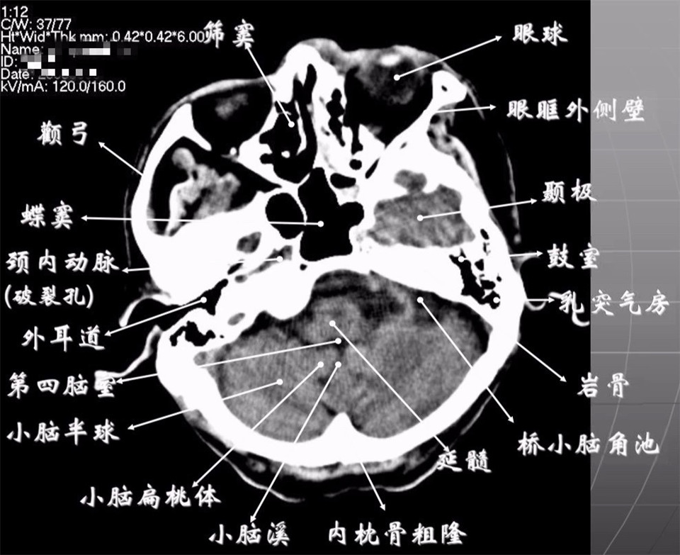 微信图片_20200915081936.jpg