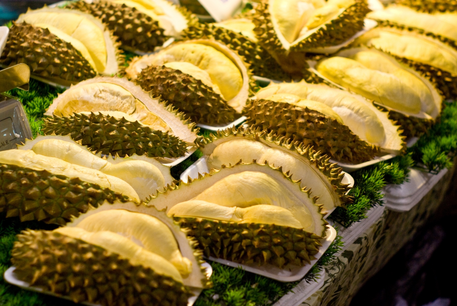 1675991314230616066_6206336-xl_副本.jpg